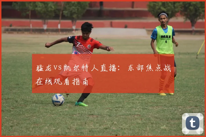 猛龙vs凯尔特人直播：东部焦点战在线观看指南