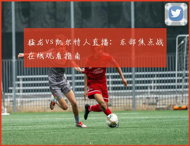 猛龙vs凯尔特人直播：东部焦点战在线观看指南