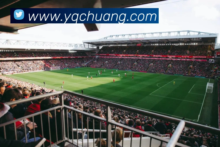 开云手机入口官网平台生态图