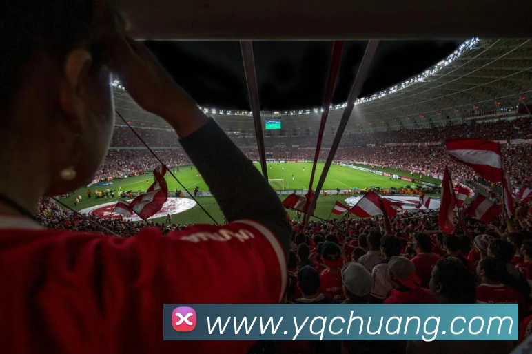 开云手机入口官网APP 封面图